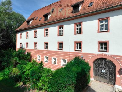 Historische 4-Zimmer-Schloss-Wohnung in Obertraubling mit großer uneinsehbarer Terrasse