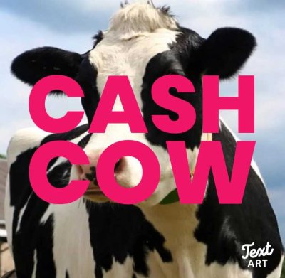 21682 Stade - Cash Cow ! Ferienvermietung oder möbliertes Wohnen in der Altstadt