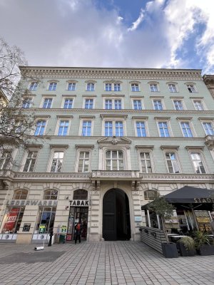 PALAIS HARDEGG: Dachgeschoßwohnung mit großer Terrasse direkt an der Freyung - zu mieten in 1010 Wien