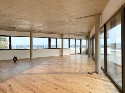 Luxuriöses Penthouse mit Dachterrasse zur flexiblen Nutzung