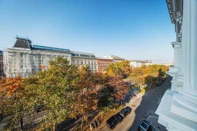 Luxuriöse Altbauwohnung im Palais Schottenring