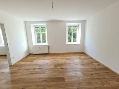 Neu renovierte lichtdurchflutete Wohnung in Graz/Geidof