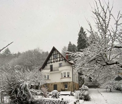 Stilvolles Einfamilienhaus in außergewöhnlicher, naturnaher Lage