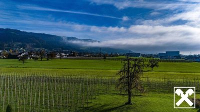 Raumwunder - Reihenhaus mit Weitblick