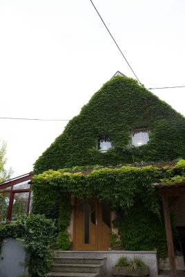 Einfamilienhaus mit Wintergarten auf großem Grundstück in Leonding