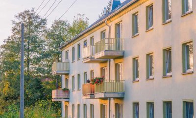 Neu renovierte 4-R-Wohnung mit Balkon