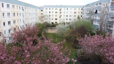 Stilvolle 3-Raum-Wohnung gehobener Innenausstattung  Balkon EBK Prov.frei Bezugsfrei