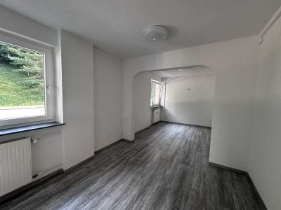 Komplett-modernisiertes 1 bis 2 Zimmer Appartement