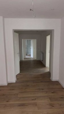 Neu renovierte 3,5 Zimmer Wohnung im DG