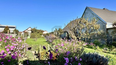 PREISHIT! MIT GROSSEM GEPFLEGTEM OBSTBAUMGARTEN U. 2 ZUFAHRTEN