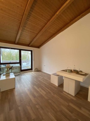 Charmante 2 Zimmer-Wohnung in Kirchberg a.d. Jagst, saniert, Küche, Balkon