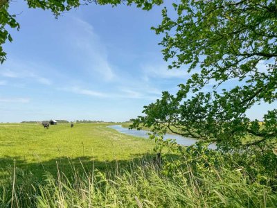 Wunderschönes Landhaus mit Weitblick zum Nordseedeich - Halbinsel Nordstrand