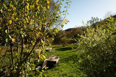 Ein Paradies für Handwerker und Familie