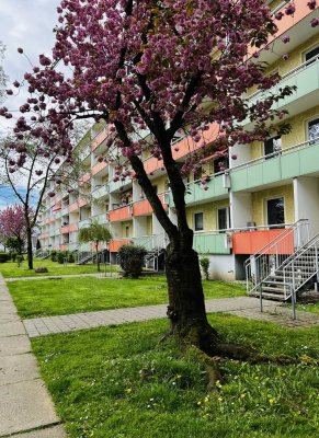 2 Raum Wohnung mit großem Balkon