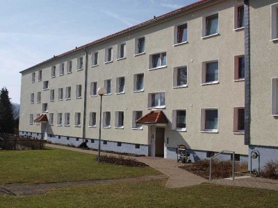 3-Zimmer-Wohnung mit Balkon in Ringelheim