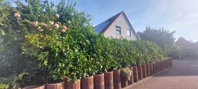 Modernes Einfamilienhaus mit Solarstrom in Gleichen