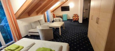 Exklusive 1-Zimmer-Wohnung in Taufkirchen