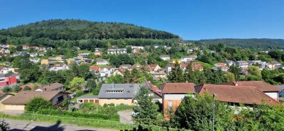 Attraktive renovierte 2,5-Zimmer-Wohnung mit Terrasse und Garten in Heidelberg