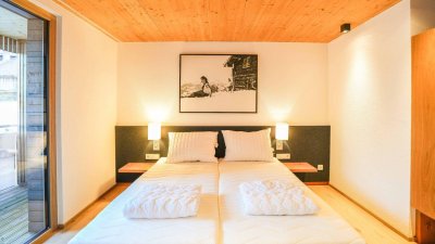 Attraktive Apartments mit Feriennutzung in Mellau - Bregenzerwald