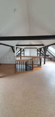 ++NEU++ Schöne 3 Zimmer-Maisonettewohnung mit Parkett in Eutritzsch