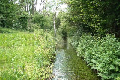 GROSSES HAUS MIT BACHLAUF UND EXTRA WEIHER