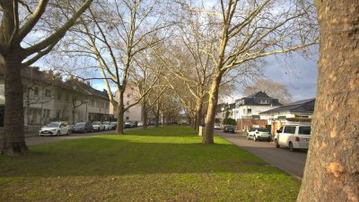 Parkinsel (Stadtpark), komplette Etage mit 20qm Süd-Veranda