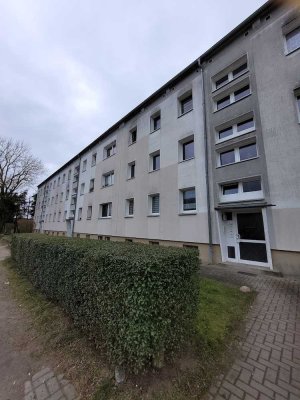 Frisch renovierte Wohnung wartet auf Ihre individuelle Note