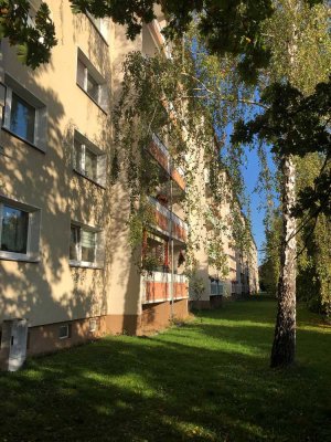 Wohnung mit Balkon zum fairen Preis !