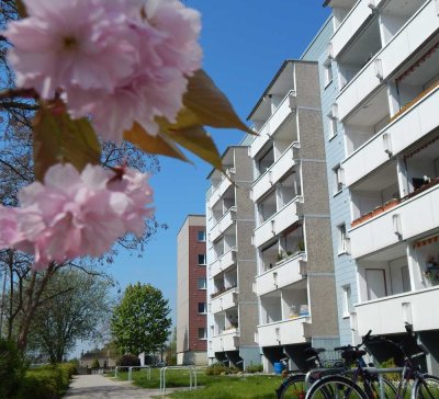 Top renovierte 3-Raum-Wohnung