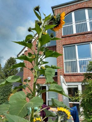 Lichtdurchflutete 3-Raum-Etagenwohnung mit Balkon, Garten u. Stellplatz in Berlin Rudow (von privat)