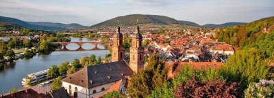 Vollständig renovierte 4-Zimmer-DG-Wohnung mit EBK in Miltenberg