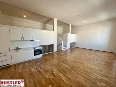 WINTERAKTION – Erster Monat Mietfrei! Geräumige Loft Wohnung - Erstbezug