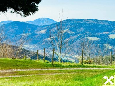 Landleben mit Panoramablick im Süden Kärntens!