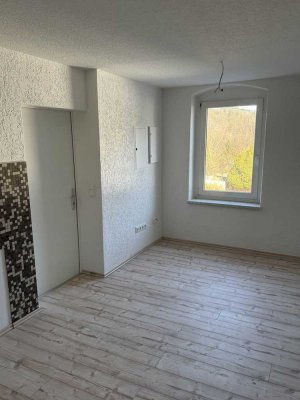 Greiz, sanierte, herrliche Singlewohnung mit Fußbodenheizung, in Greiz/Rothental