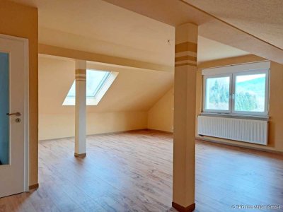 Gemütliche 3 Zimmer - Maisonettewohnung in Schönbrunn / Allemühl!