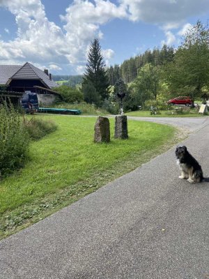 Attraktive und sanierte 4-Raum-EG-Wohnung mit Einbauküche in St.Georgen