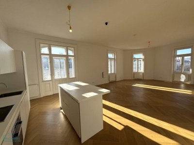 SCHÖNE ALTBAUWOHNUNG MIT BLICK ZUM PALAIS LIECHTENSTEIN