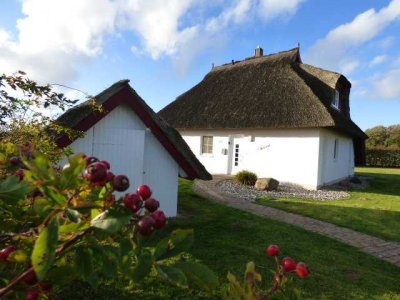 "FILET"- GRUNDSTÜCK MIT REETFERIENHAUS AN DEN WIESEN AM ACHTERWASSER! ERDWÄRME & SAUNA & KAMIN!