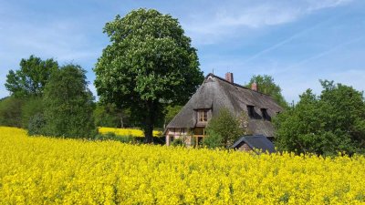 Reetdachkate  in absoluter Alleinlage mit ca. 6.000 m² Grundstück