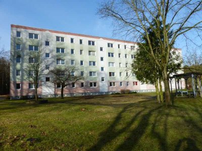 Herrlicher Ausblick in Richtung Wald - ruhige Wohnung!