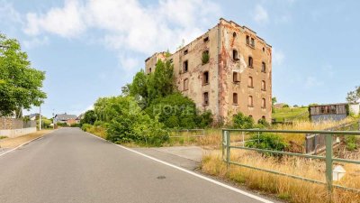 Entwicklungsobjekt - Loft-, Eigentumswohnung. Viel Potenzial mit Industriecharme.