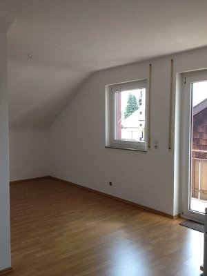 Gemütliche und gepflegte 1-Zimmer-DG-Wohnung mit Balkon am Waldrand in Leinfelden-Echterdingen