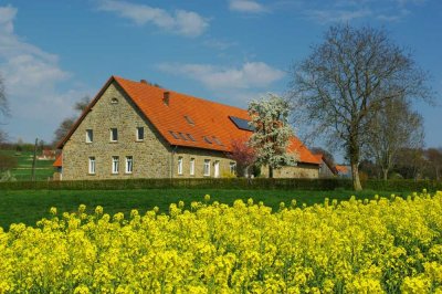 Bauernhaus im Tecklenburgerland