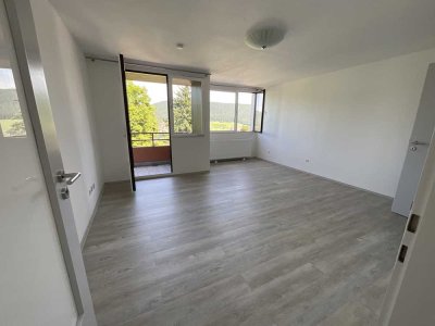 1-Zimmer Apartment mit Küche, Bad, Balkon, Keller und PKW-Stellplatz