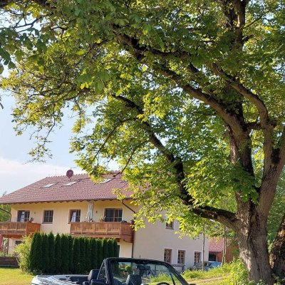 Wohnung 1. Stock mit Balkon in ruhiger Lage