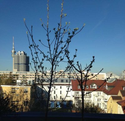 Exklusive, gepflegte 2-Raum-DG-Wohnung mit Balkon und Einbauküche in München Milbertshofen