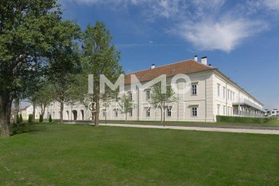 Residieren im Schloss Neusiedl - Haus 5