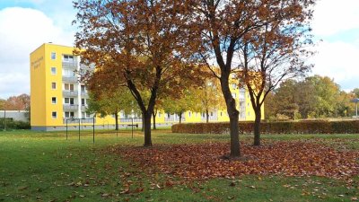 Sanierte 2-Raum Wohnung im Hochparterre!