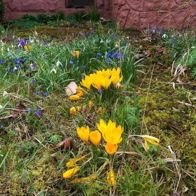 Der Frühling naht -Geniessen Sie die gepflegte DHH