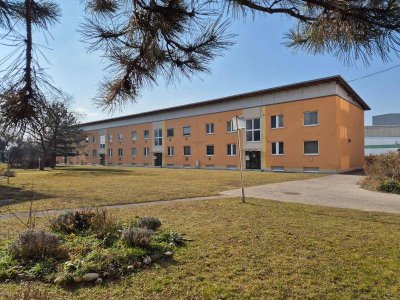 Nette 2-Zimmerwohnung, 43 m² WNFL, inkl. neuer Küche, Parkplätze vor dem Haus, schöner Allgemeingarten!